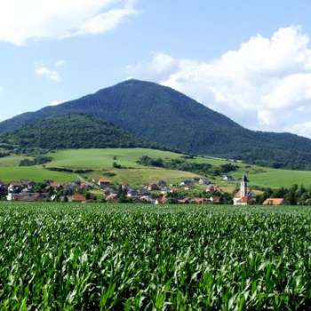 PARNICA